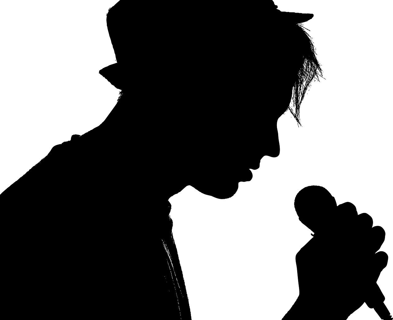 singer, male, microphone-2374445.jpg